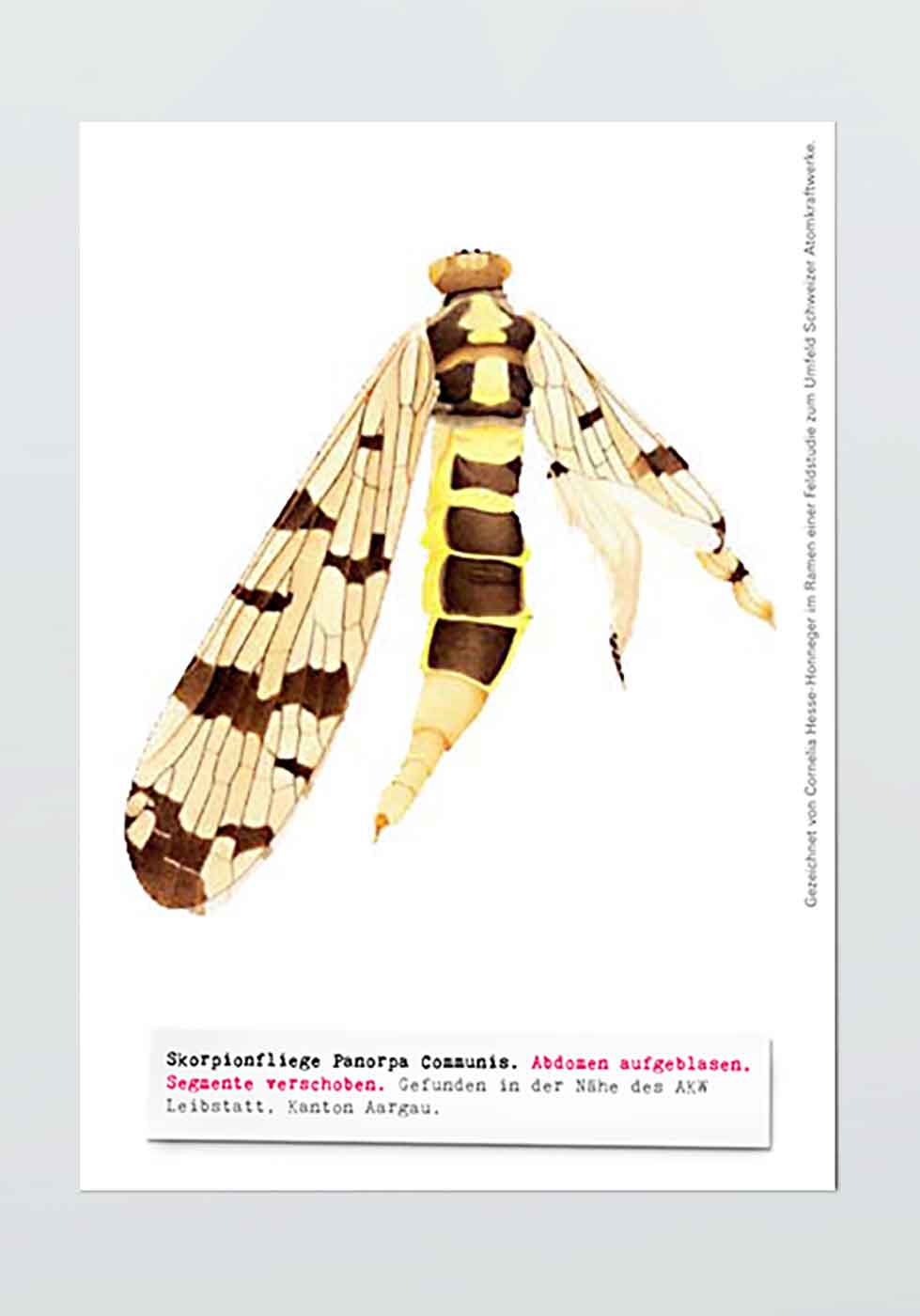 Zum Umfeld Schweizer Atomkraftwerke